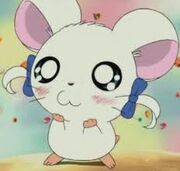 Bijou