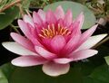 2013年4月7日 (星期日) 08:35的版本的缩略图