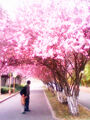 2013年4月10日 (三) 09:36的版本的缩略图