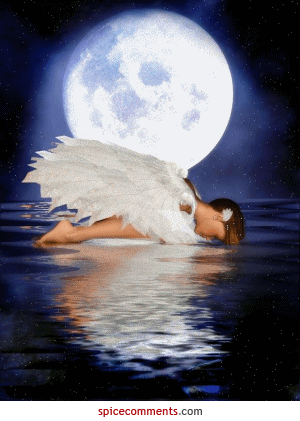 File:00148.gif