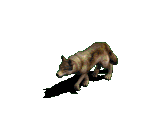 File:065653goon2llzdi6nidin.gif