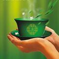 2013年4月10日 (三) 01:12的版本的缩略图