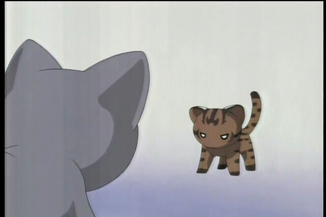 File:Maya Versus Kamineko.jpg