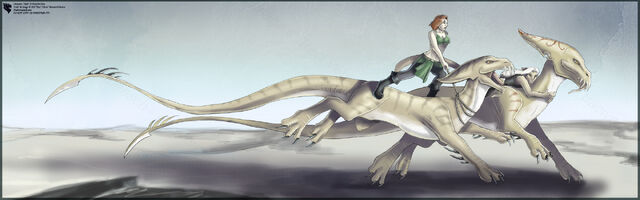 File:DuneDragonRace.jpg