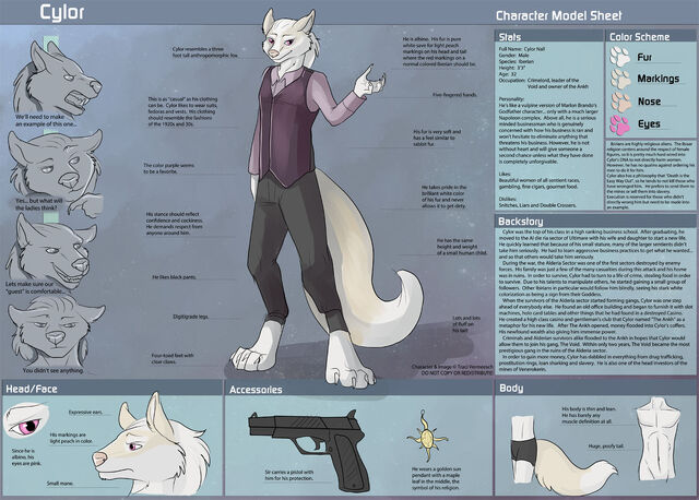 File:Cylor-CharacterSheet.jpg