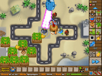 Monkey-Management-strategy-near-placement