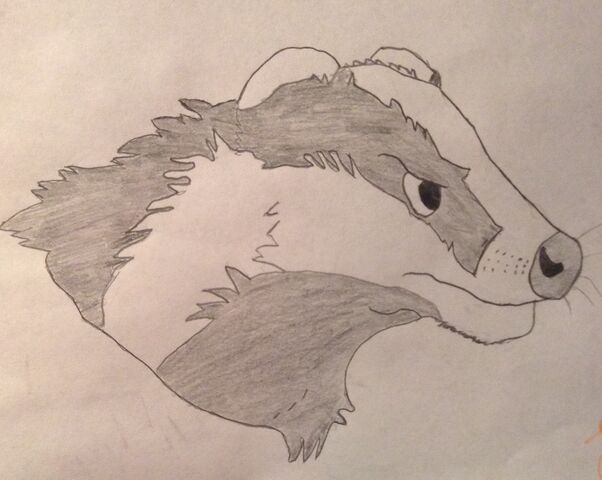 File:Badgerlordhead conceptart.jpg