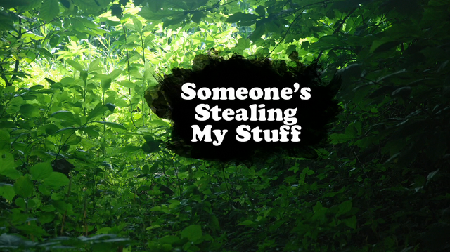 File:Someone's Stealing My Stuff.png