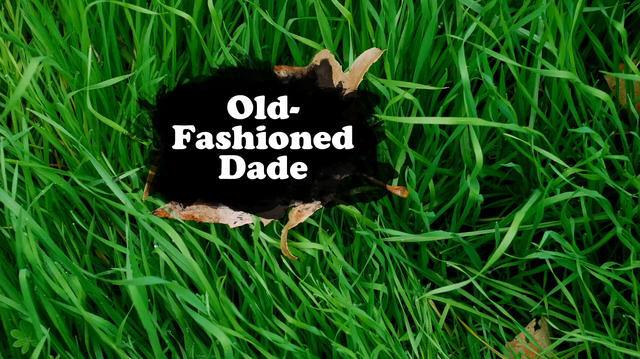 File:Old-Fashioned Dade.png