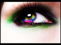 Thumbnail for version as of 16:24, February 4, 2011