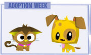 Adopt