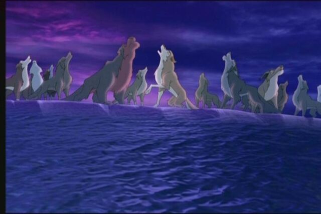 File:Balto338.jpg