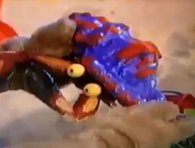 File:Amy holding a Crab.jpg