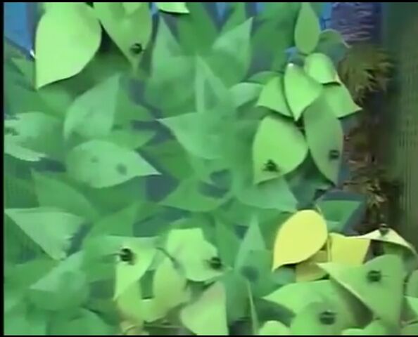 File:Image pricklebush.jpg