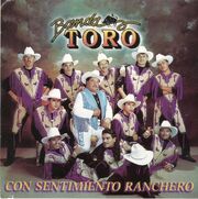 Toro 97.jpg