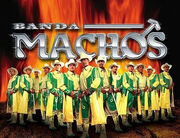 Bandamachos1.jpg