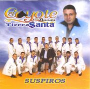 Suspiros alterna