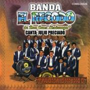 1995 paloma sin nido.jpg