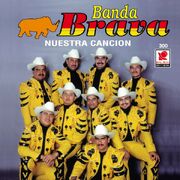 Brava 97