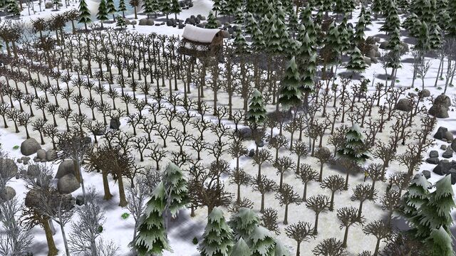 Файл:Orchard.jpg