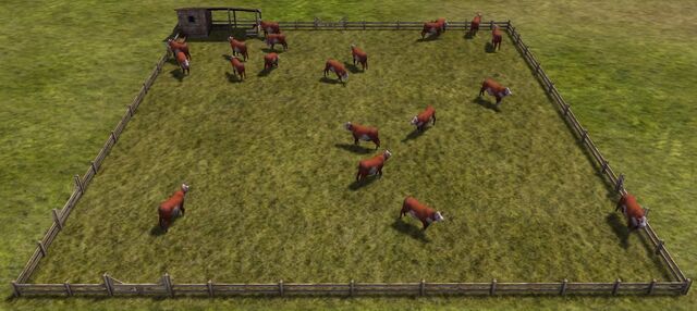 Файл:Cow.jpg