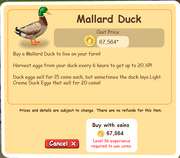 Mallard Duck Duck