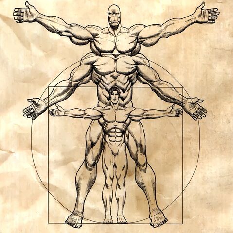 File:Humanform.jpg