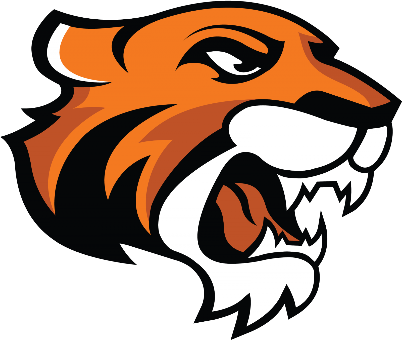 Image - DoaneTigers-2016.png | Baseball Wiki | FANDOM powered by Wikia