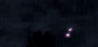 Two butterflies fluttering into the sky together
