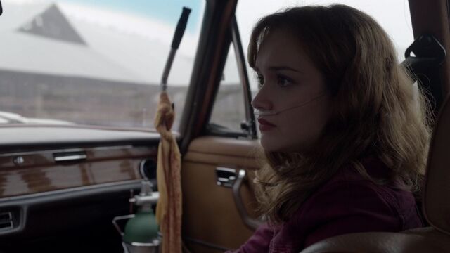 File:BatesMotel208-0417.jpeg