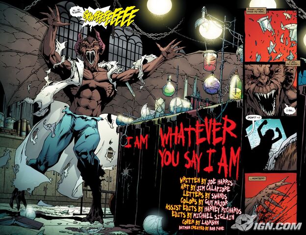 File:Batman-battle-for-the-cowl-man-bat-20090326043220682.jpg