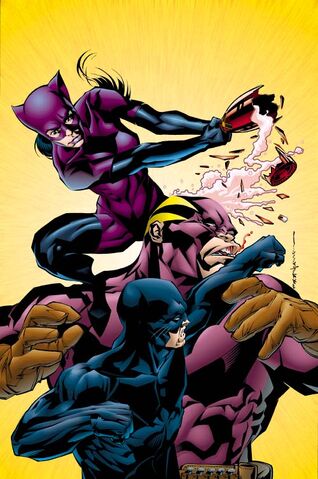 File:CATWOMAN WILDCAT 3.jpg