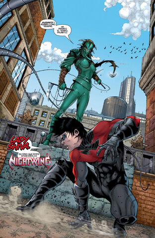 Archivo:Nightwing-014-09.jpg