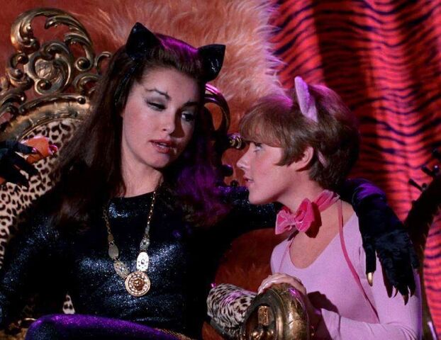 File:That darn catwoman.jpg