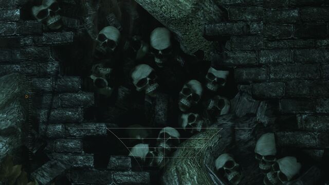 File:ArkhamSkulls.jpg