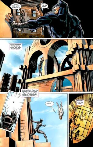File:1392034-catwoman 4 super.jpg