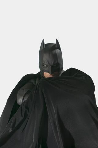 File:Batsbegins003.jpg