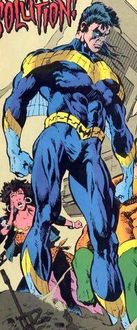 File:1627666-nightwing3.jpg