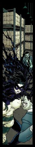 File:Blackbat 004.jpg