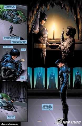File:Nightwing-20090109032700187.jpg
