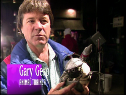 Gary Gero