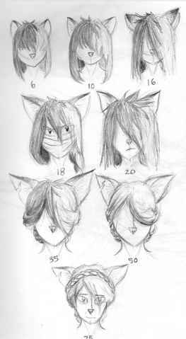 File:Treeprogression.png