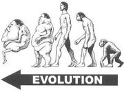BAALO13 37 Venusian evolution