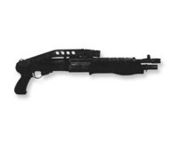 Spas 12