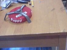 Punked Out Puppy