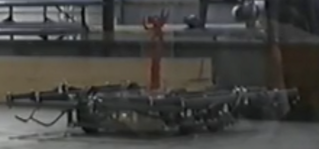 File:Viking Dragon SC.png