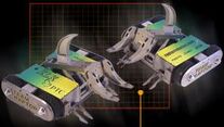 PackraptorsBBS5