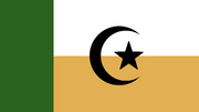 MEC-Flag