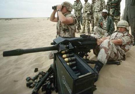 File:Mk19.jpg