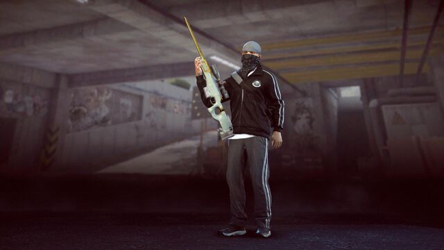 File:Bangers Professional Stealth.jpg